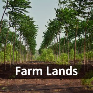 Farm Lands